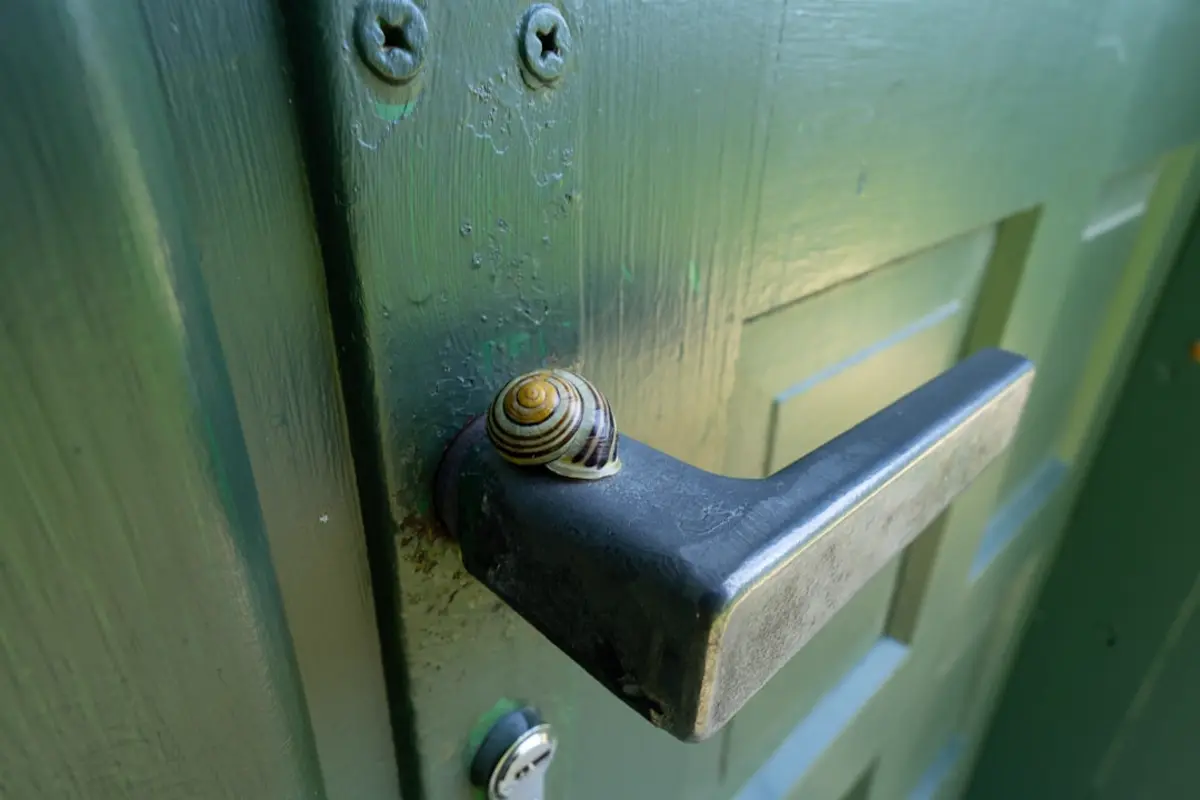 문 손잡이 직접 교체하는 방법 — 공구 없이 10분 완성으로 5만 원 아끼기