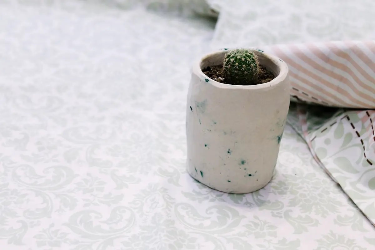 시멘트 화분 직접 만드는 DIY 가이드: 1만 원으로 감성 인테리어 완성하기